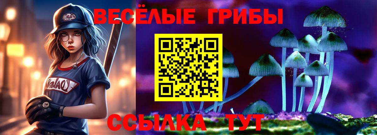 Псилоцибиновые грибы MAGIC MUSHROOMS  Вход с VPN  Галлюциногенные грибы мухоморы  Лесозаводск 